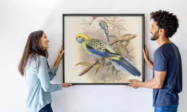 John and Richter Gould