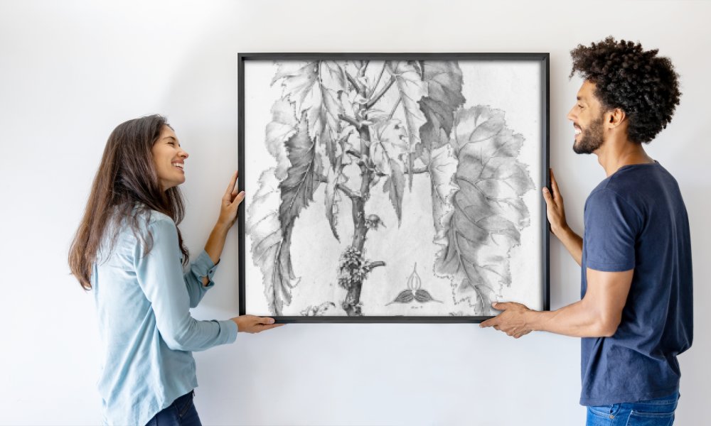 C.F.P.von Martius and auct. suc.