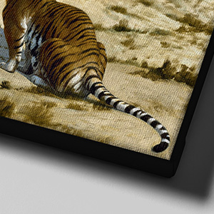 Canvas frame (black frame)