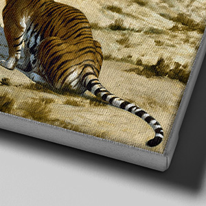 Canvas frame (white frame)