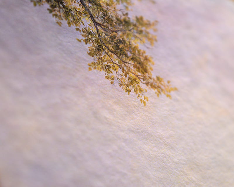 Watercolor Cardboard Munch (Hahnemühle Torchon 285)  22