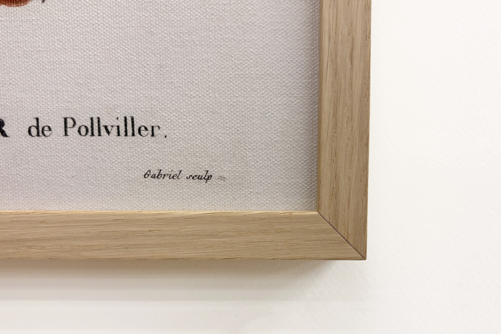 Poirier de Pollviller - in 'Nouveau Duhamel du Monceau ou Traité des Arbres et Shrustes que le Culture en France' - Pierre Joseph (after) Redoute