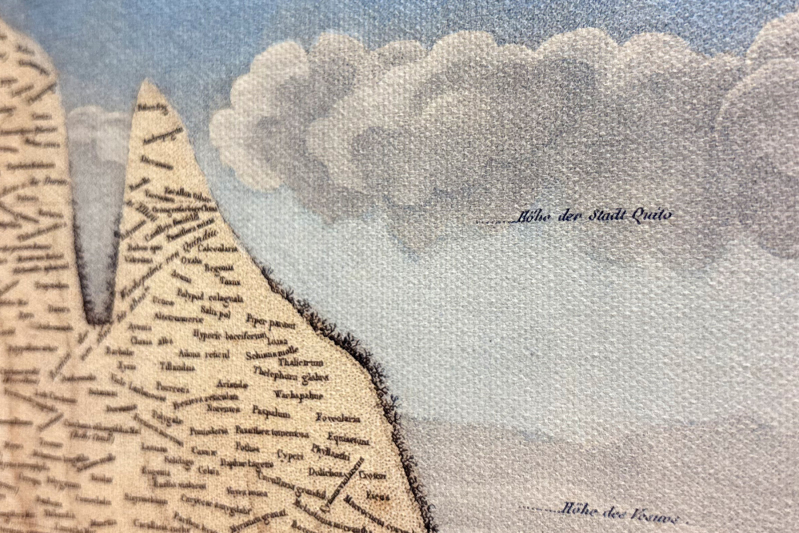 Geography of Plants in Tropical Countries, A Study of the Andes, drawn by Schoenberger and Turpin, printed by Langlois, Paris - Baron Friedrich Alexander von Humboldt