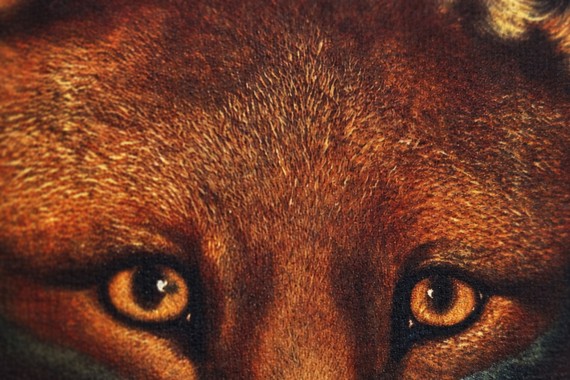 Renard the Fox, c. 1800, 1922 - Philip Reinagle
