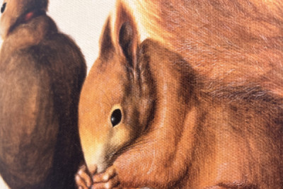 Squirrels, 1512 - Albrecht Dürer