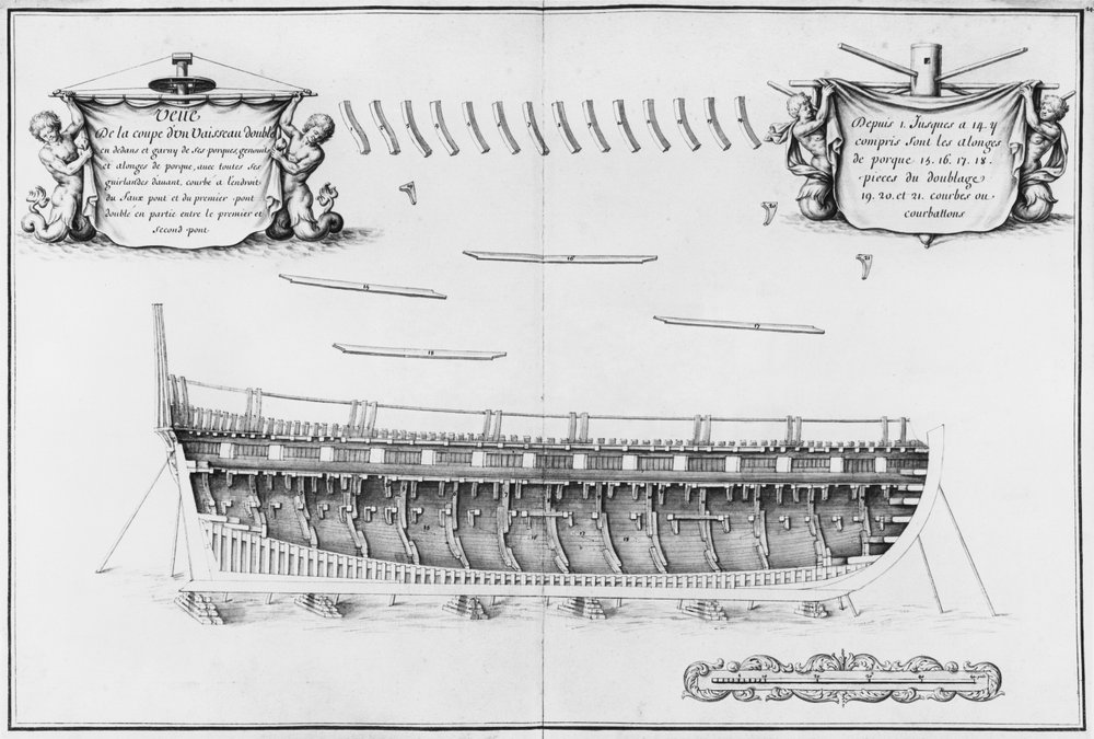Cross-section of a Vessel Lined Inside, illustration from the 'Atlas de ...