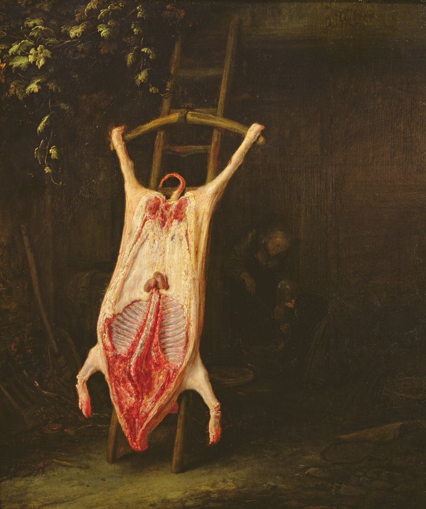 Flayed Pig by Adriaen Jansz. van Ostade: Fine art print
