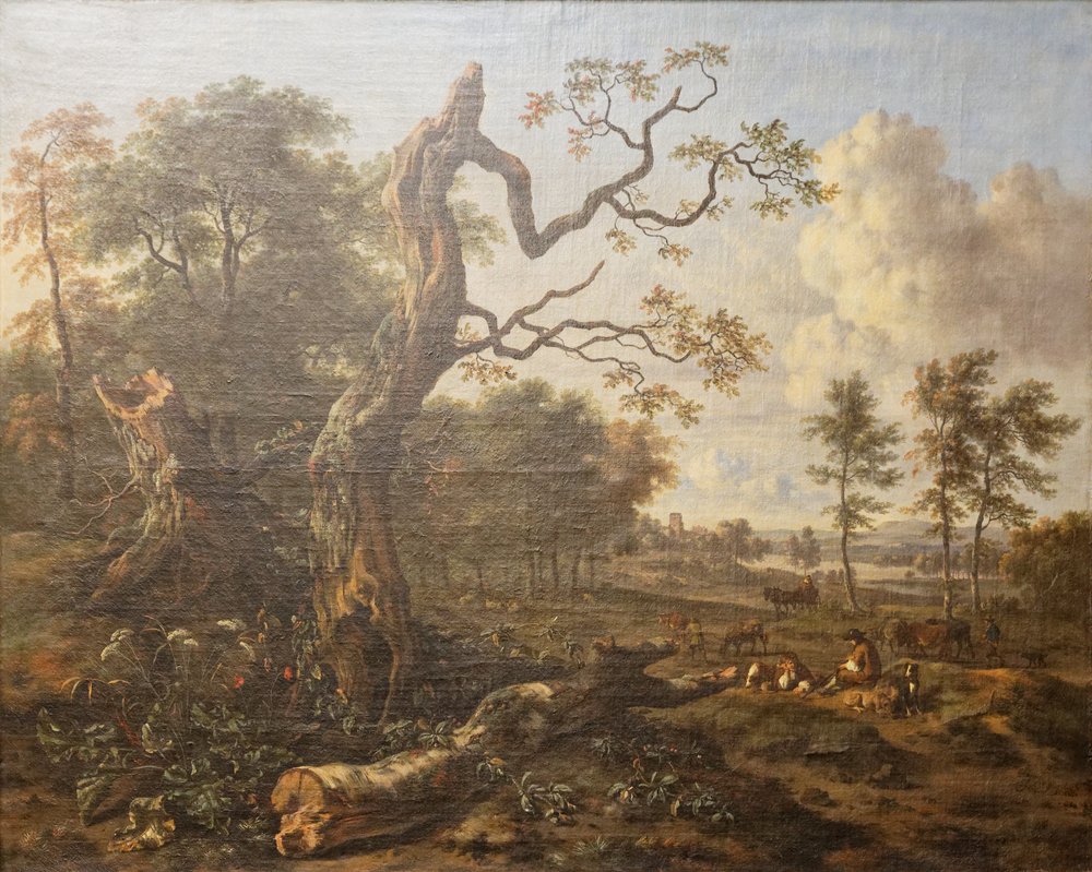 Forest Edge by Jan Wynants by Adriaen van de Velde