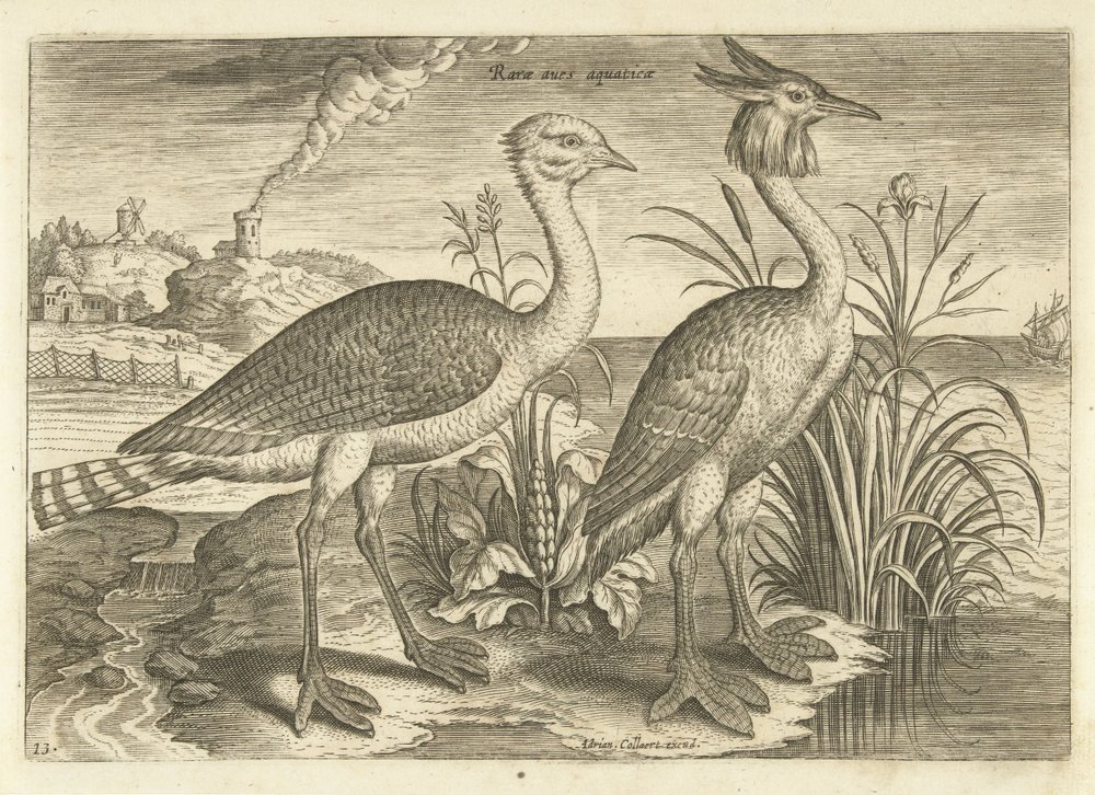 Two Wading Birds in a Landscape by Adriaen Collaert