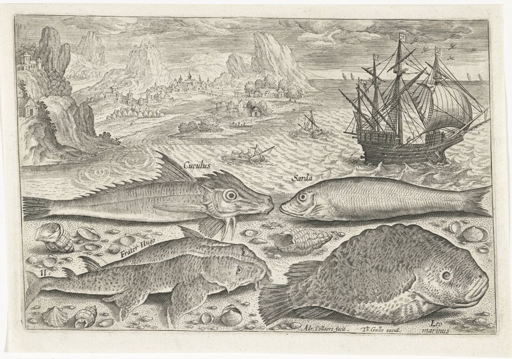 Four Fish on the Beach (Fish, Piscivm Vivae Icones) by Adriaen Collaert