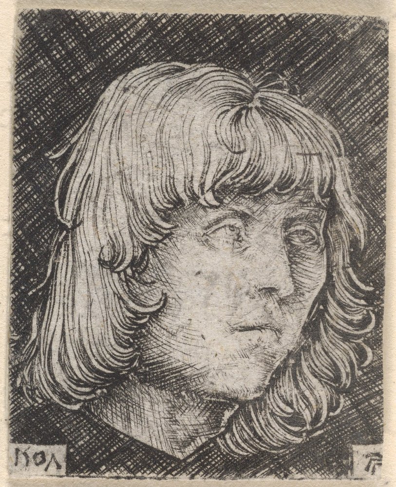 Head of a Young Man by Albrecht Altdorfer