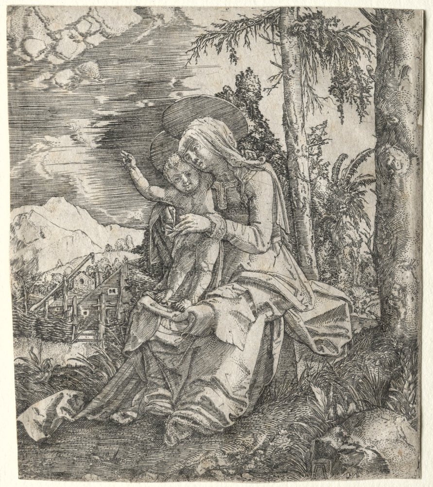 The Virgin in a Landscape by Albrecht Altdorfer