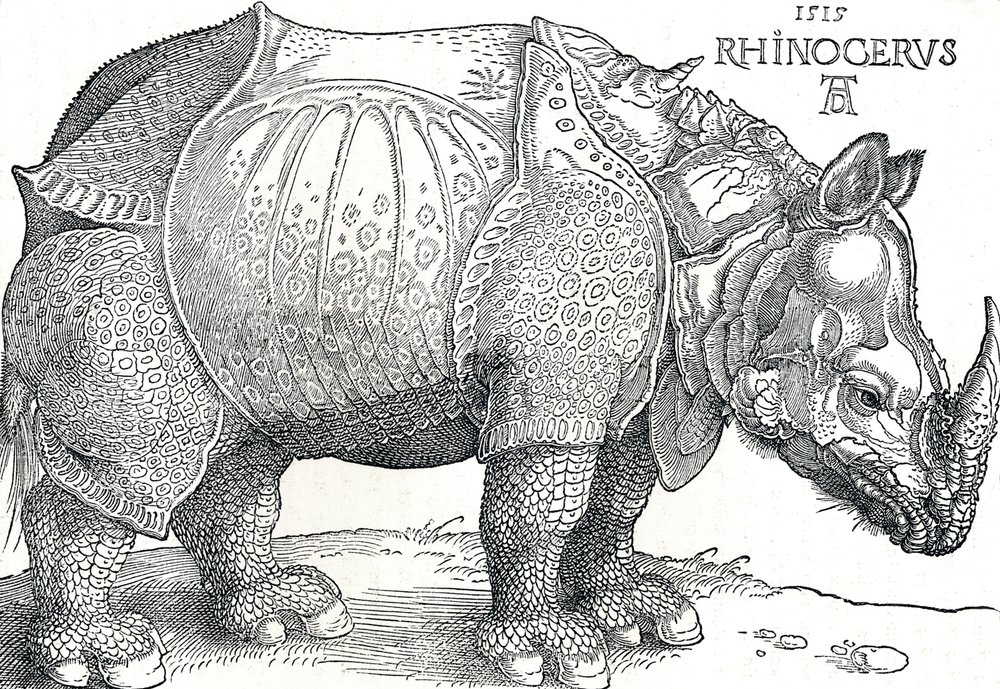 A Rhinoceros by Albrecht Dürer: Premium art reproduction