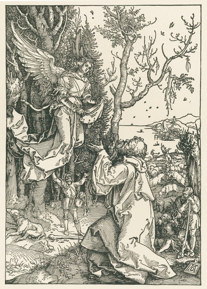 The Angel Bringing the Message to Joachim by Albrecht Dürer or Duerer