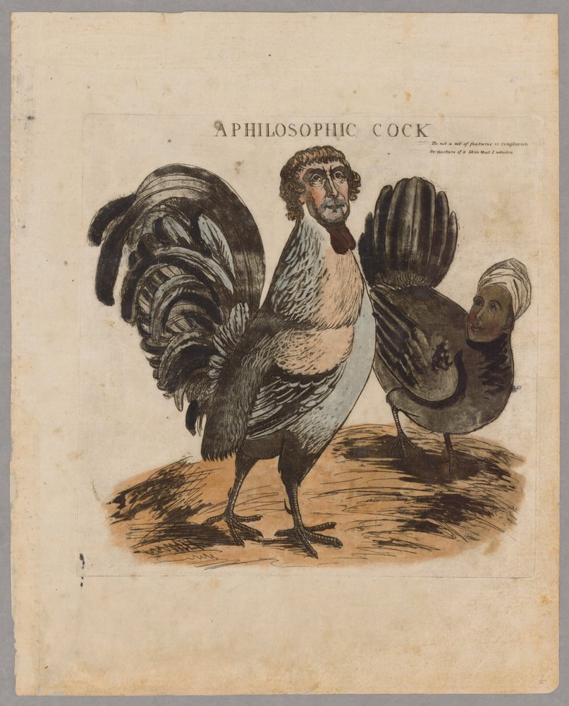 A Philosophic Cock by American School: Buy fine art print