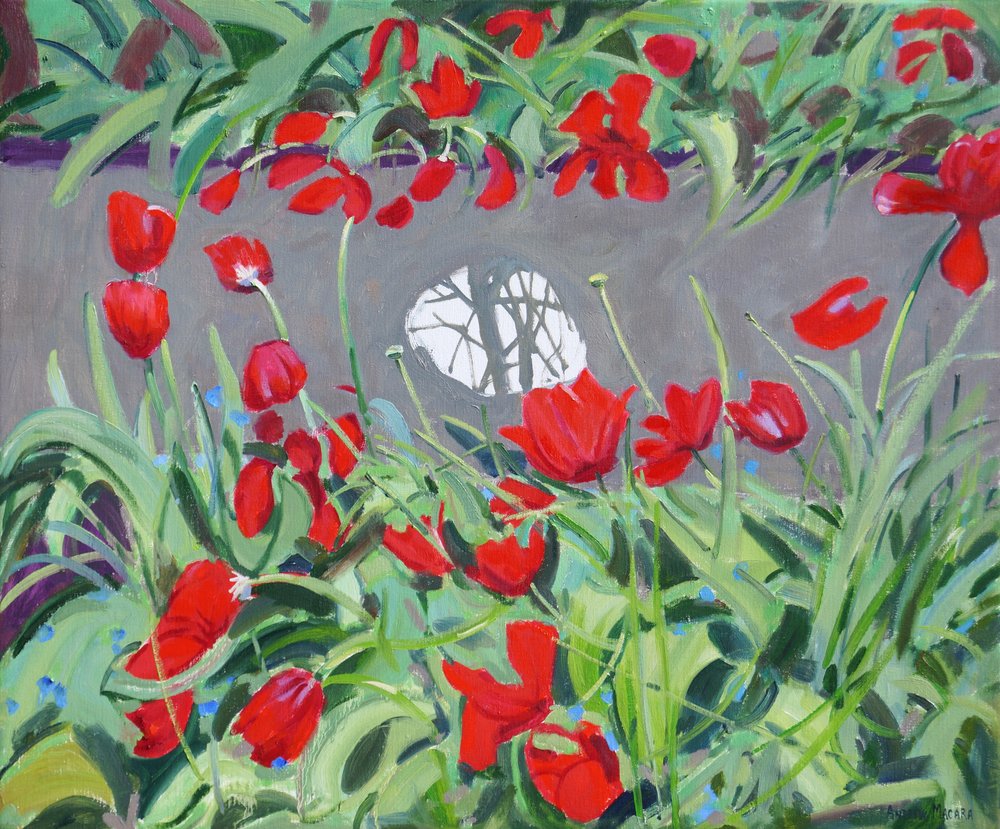 Tulips and Reflection by Andrew Macara