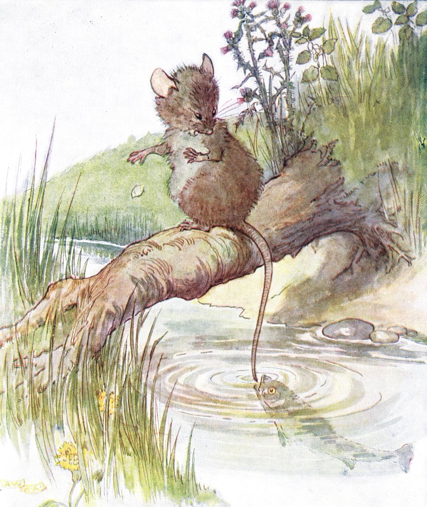 'A fish came along and gave it a sharp nip', illustration from 'The ...