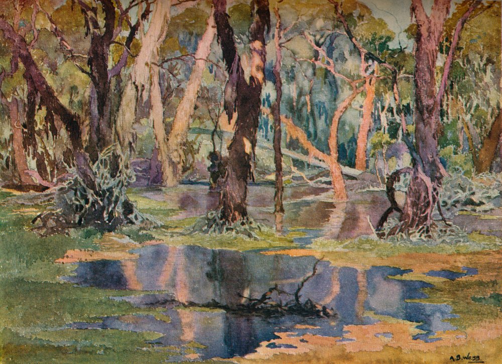 Quindanning Pool by Archibald Bertram Webb