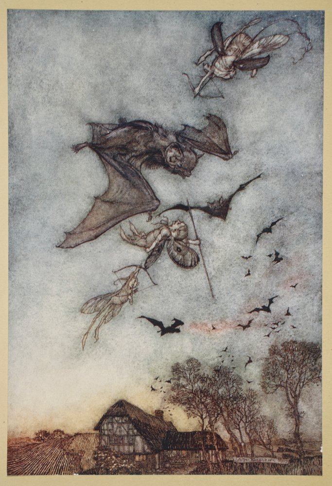 Some War with Rere-mice for Their Leathern Wings, Illustration from ...