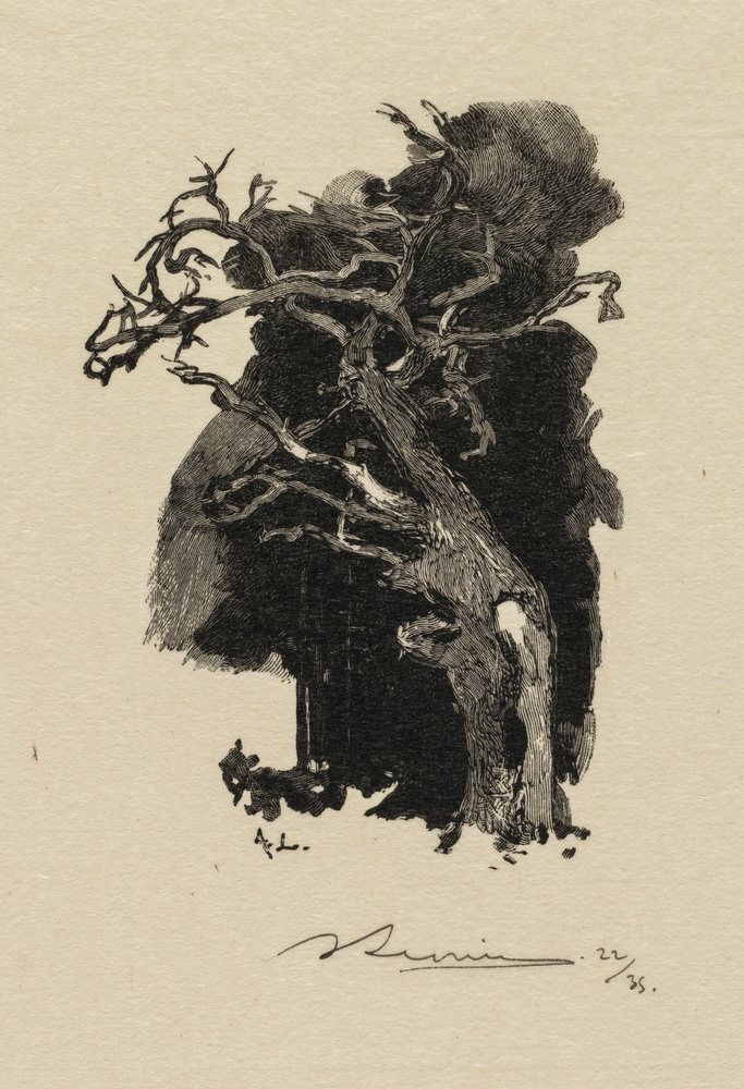 Fontainebleau Forest: The Raging One by Auguste Louis Lepère