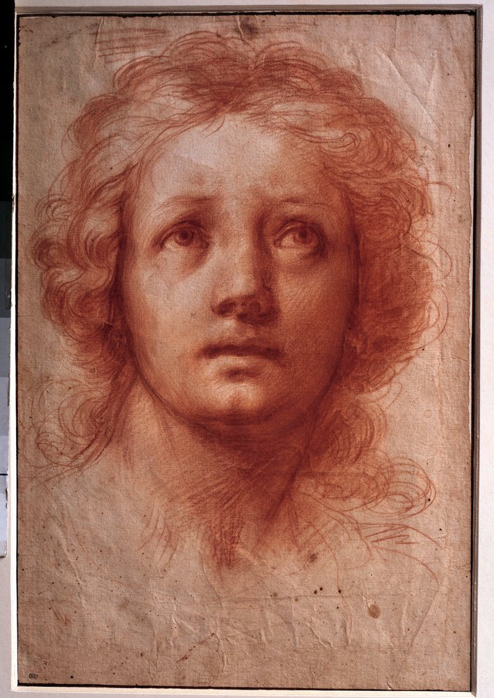 Study of a woman's head, the fixed gaze turns upwards