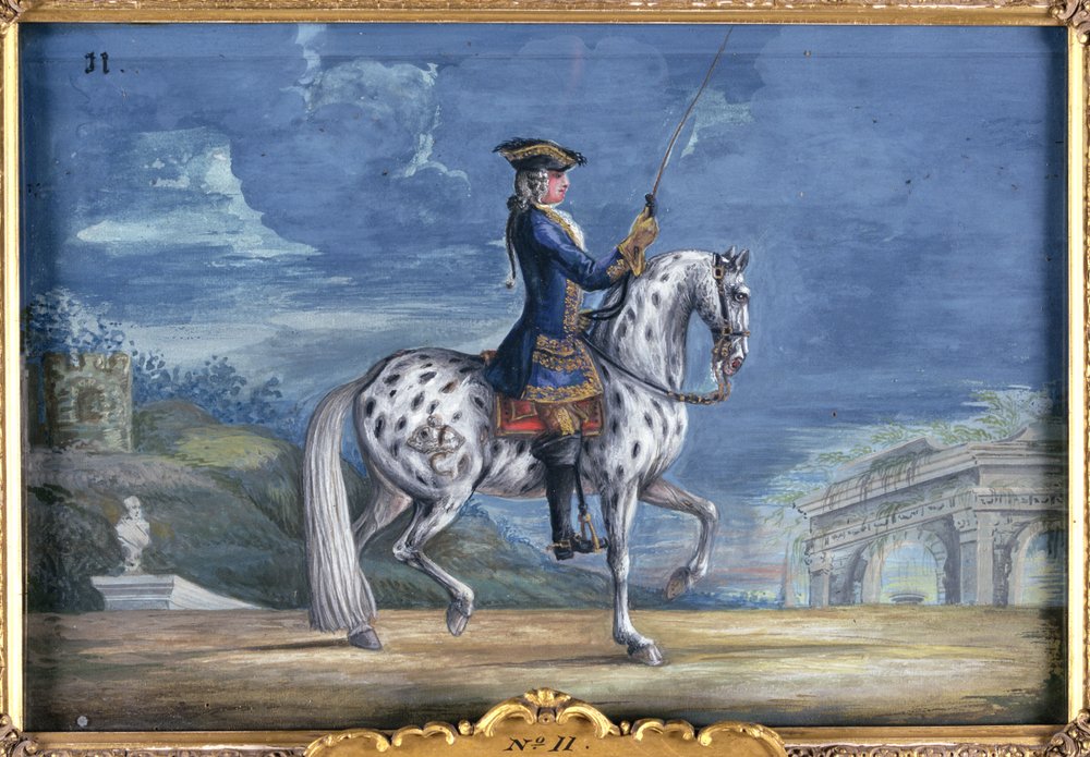 An appaloosa horse of the Spanish Riding School, from the Imperial stud in Bohemia by Baron Reis Eisenberg