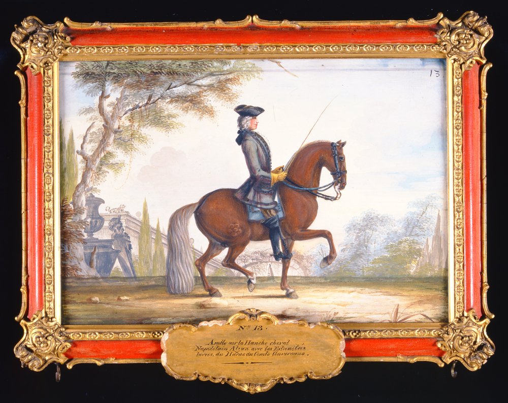 No. 13 Dressage Steps Performed by a Neapolitan Horse of the Spanish ...