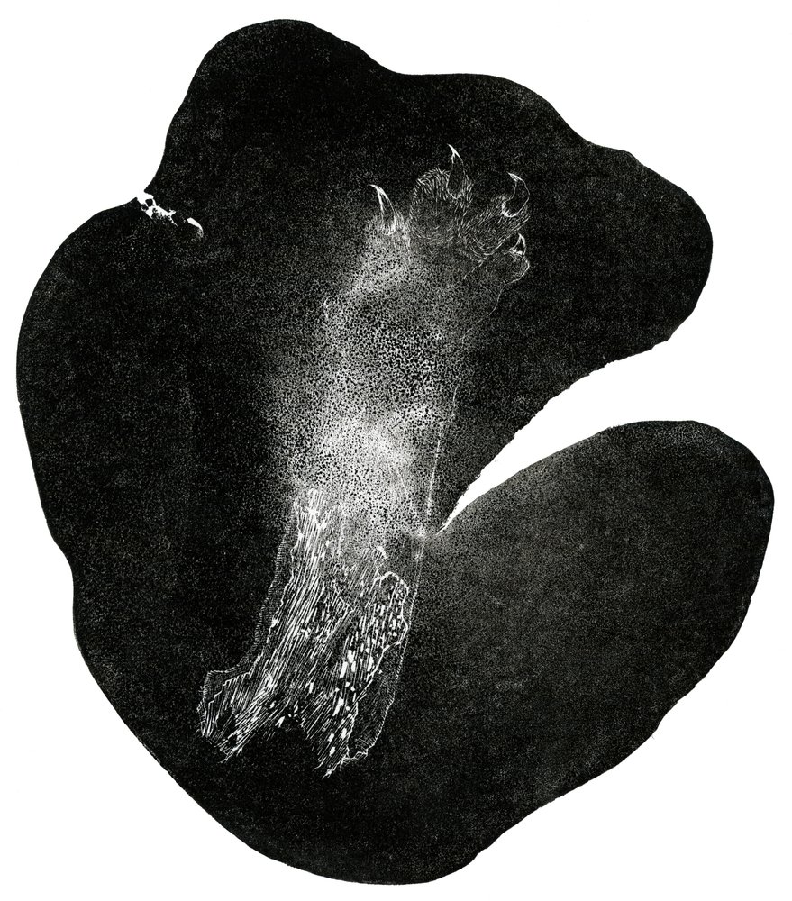 Clawfoot, 2014 by Bella Larsson