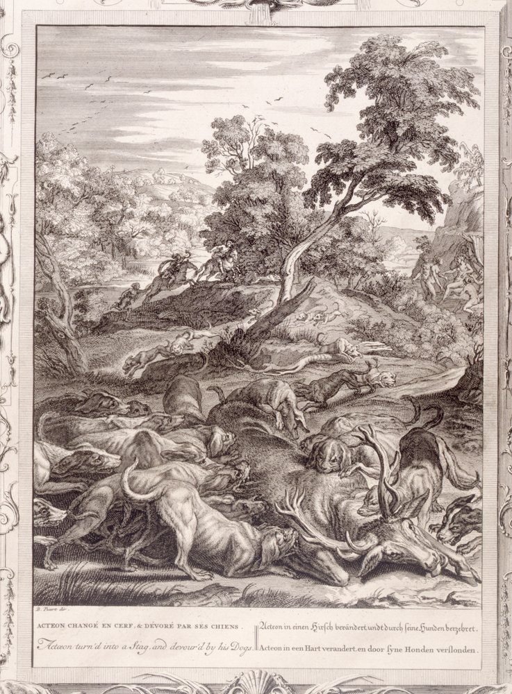 Actaeon Turned into a Stag and Devoured by His Hounds