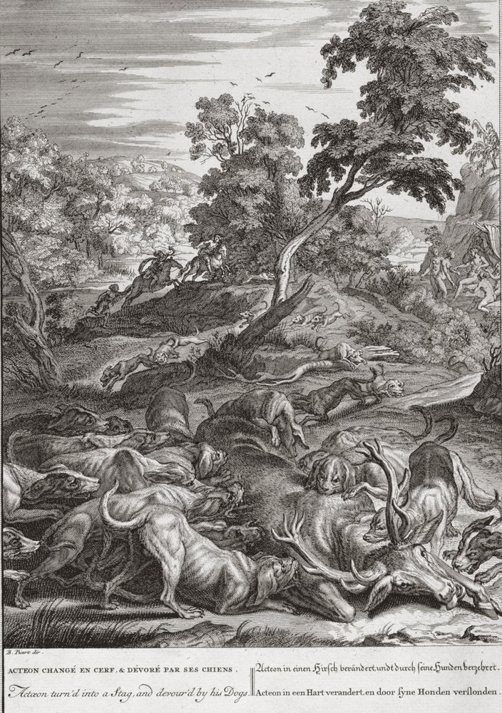 Acteon turned into a Stag, and devoured by his dogs by Bernard Picart