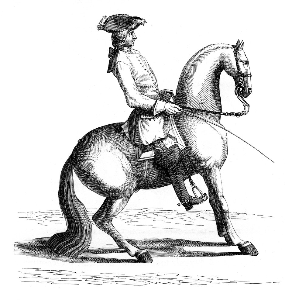 Baron of Eisenberg by Bernard Picart: Buy fine art print