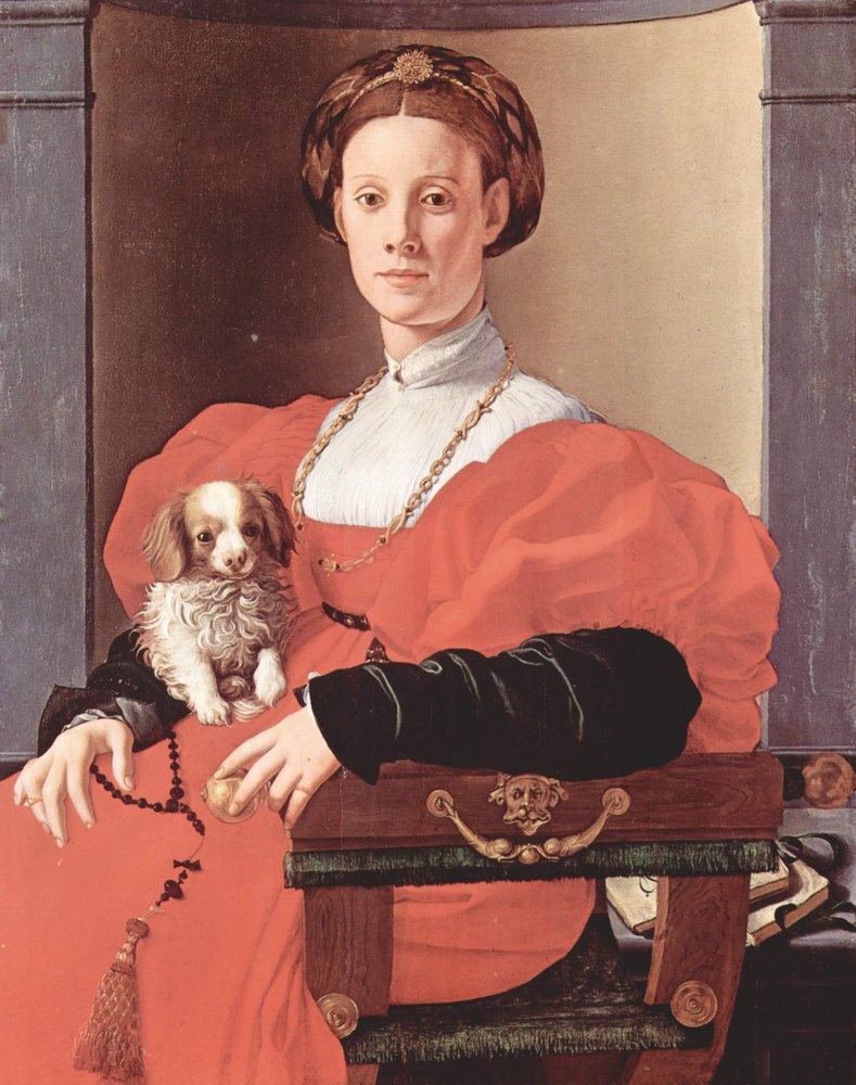 Portrait of a Lady in Red (Francesca Salviati?) by Bronzino