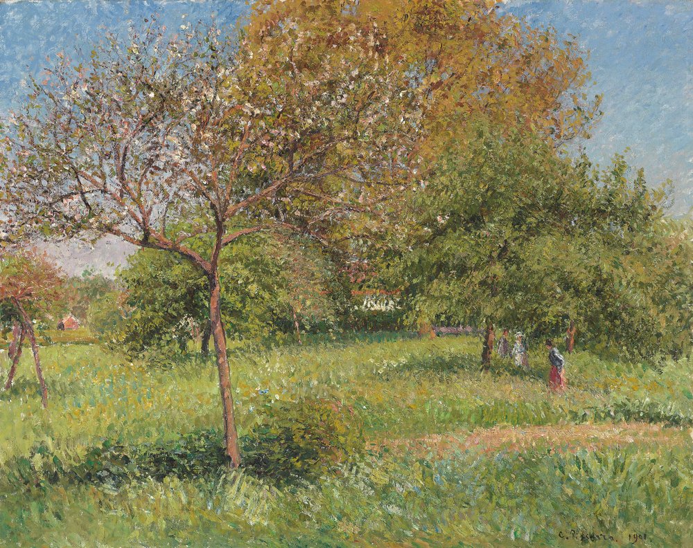 The Great Walnut Tree, Morning, Eragny (1901) by Camille Jacob Pissarro
