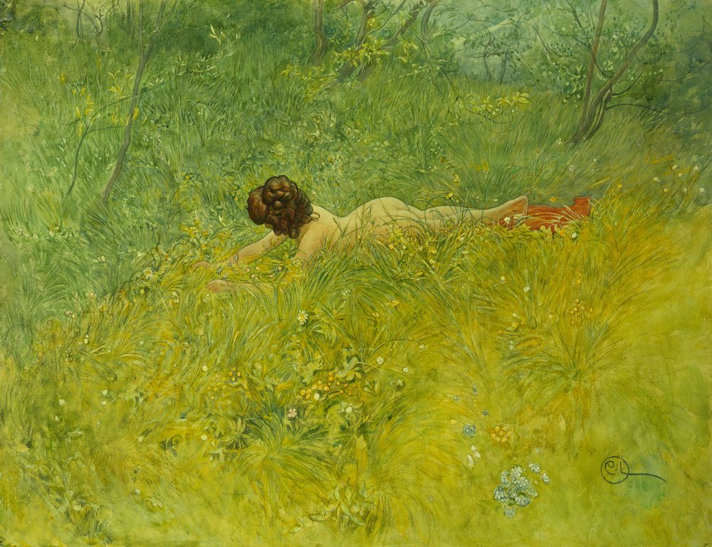 On the Grass, 1902 by Carl Larsson