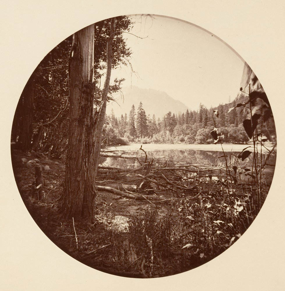 [Yosemite National Park, California], ca. 1878. by Carleton Emmons Watkins
