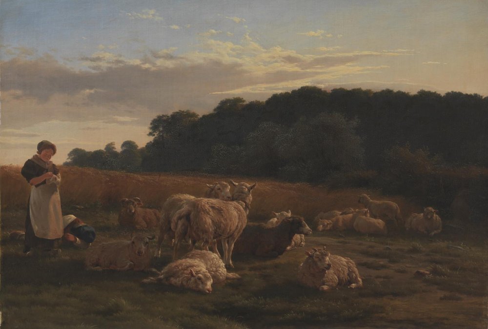 A Flock of Sheep. The Motif from Faxingeskoven near Nysø