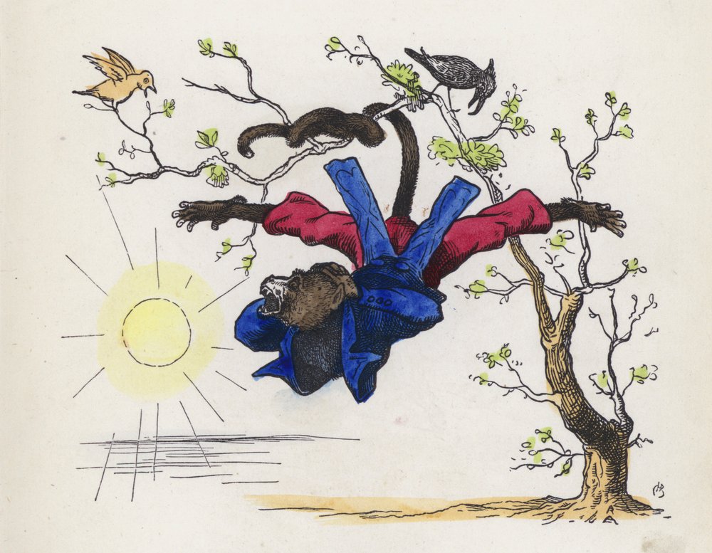 monkey drawing hanging on tree