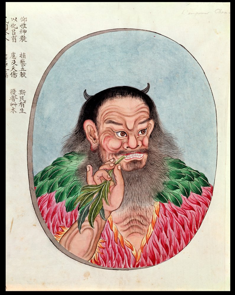 The Legendary Emperor Shen-Nung, illustration from a Pen Tsao, 18th-19th century by Chinese School