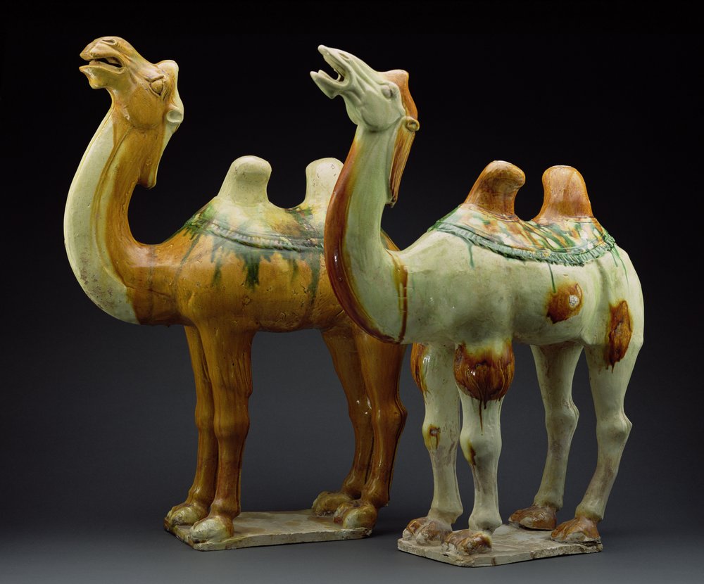 Two camels, Tang Dynasty by Chinese School: Fine art print