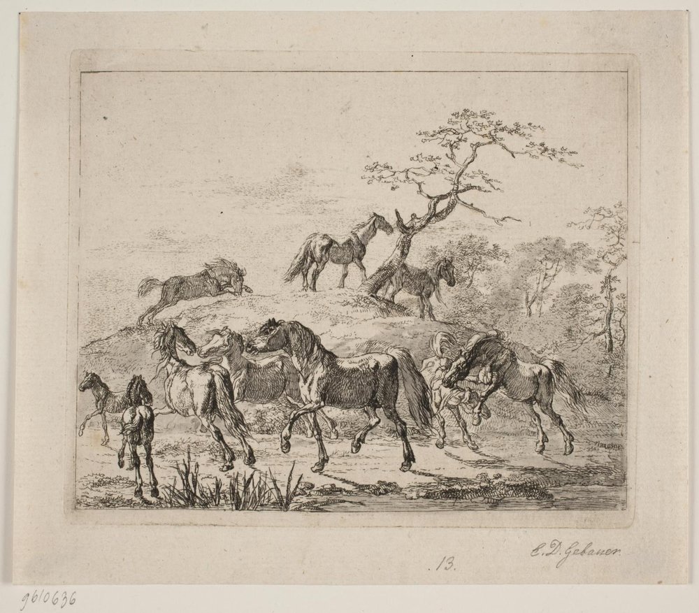Stud Farm Horses by Christian David Gebauer: Fine art print