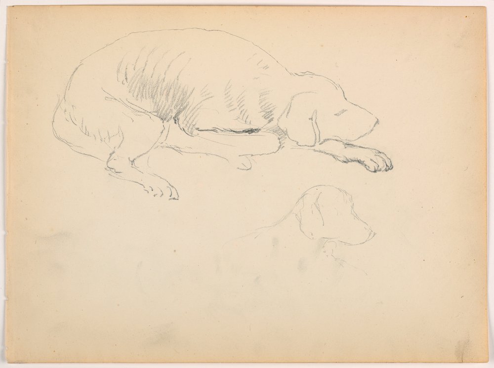 Milo (a Pointer), Two Studies, ca. 1862 by Daniel Huntington