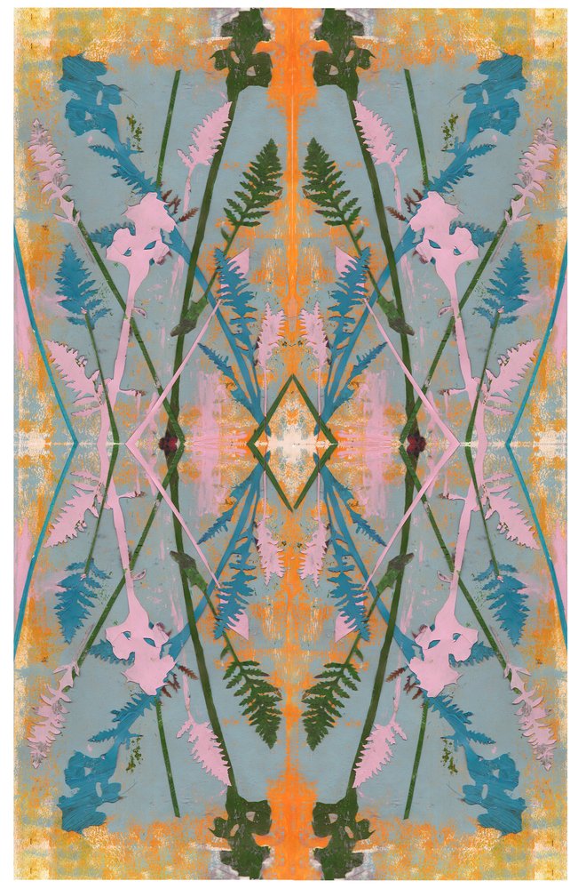 Botanical Collage #2 by David McConochie