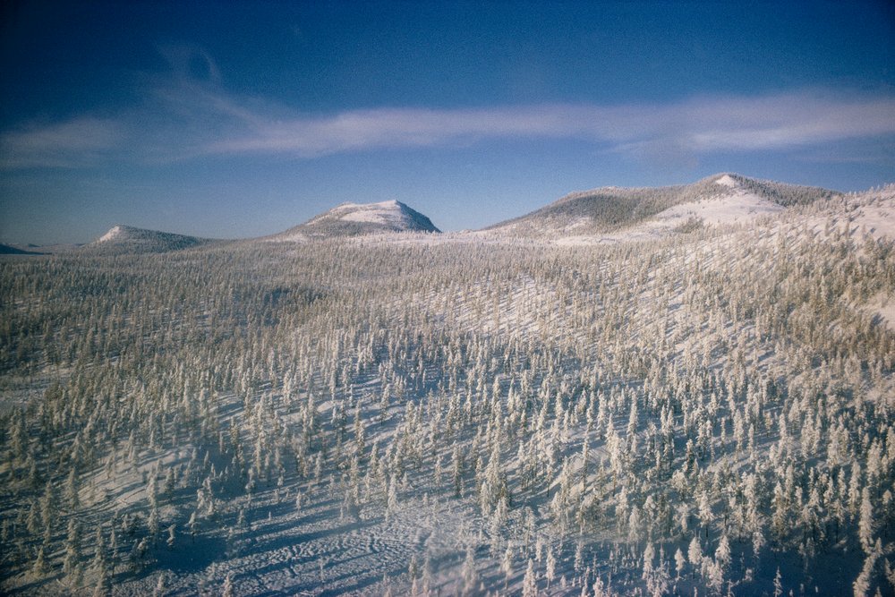 Siberia in winter landscape over marsh and forests covered in snow by Dean Conger