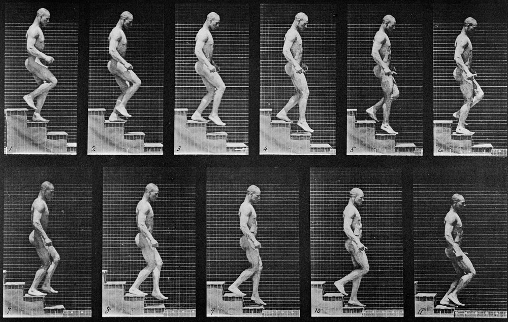 Man descending stairs, from 'Animal Locomotion', 1887