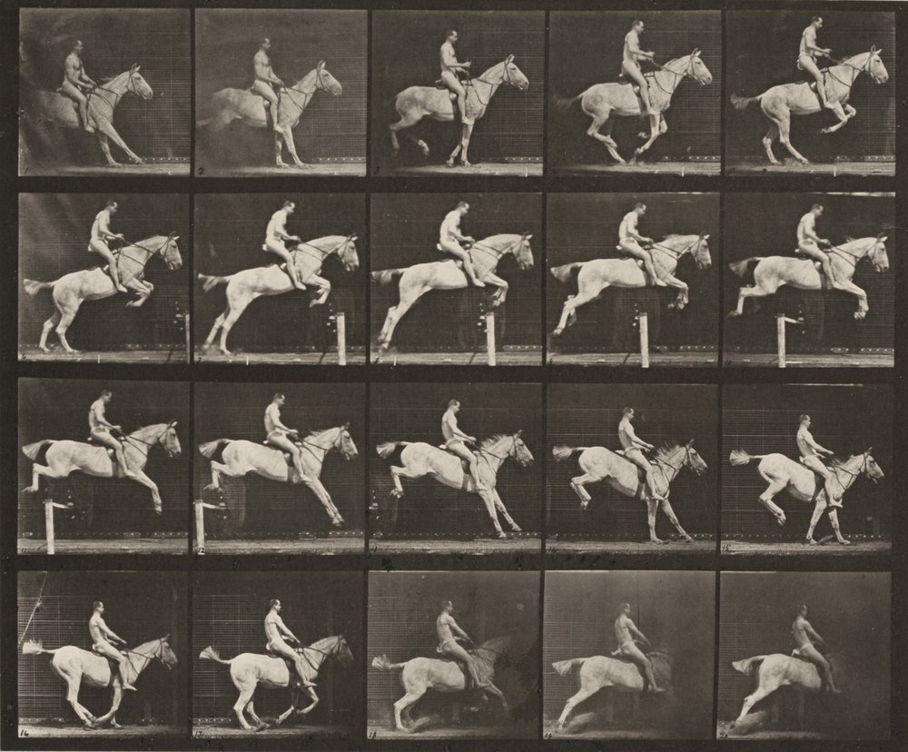 Plate Number 642. "Pandora" jumping a hurdle, saddled; rider nude by Eadweard Muybridge