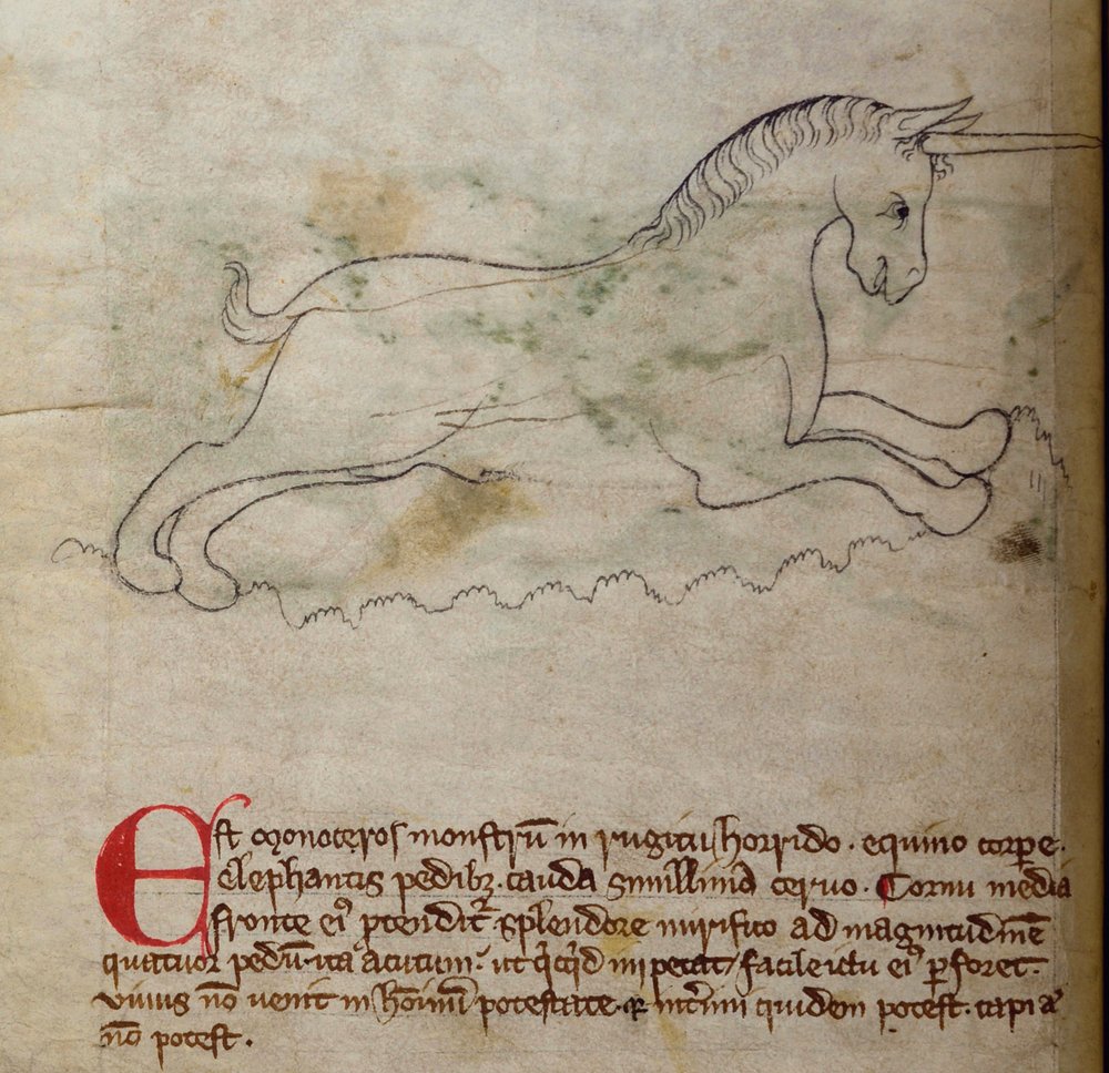 Monoceros, from Bestiary by English School: Fine art print