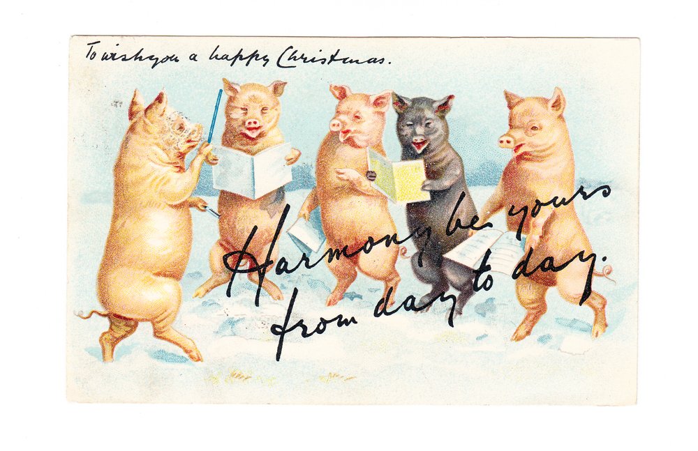 Edwardian Christmas Postcard of Five Pigs Having a Musical Session, c.1910 by English School
