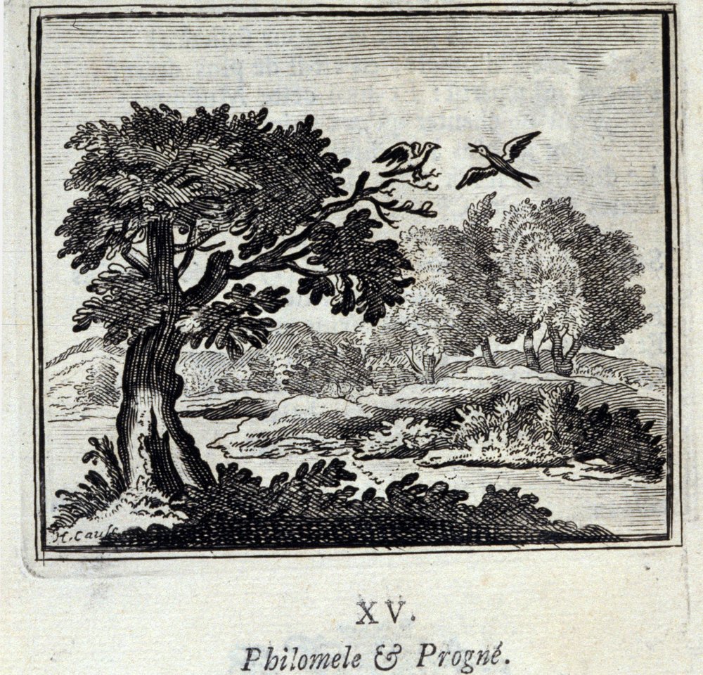 Philomela and Procne. Fables by Jean de La Fontaine. Illustration by François Chauveau. Edition of 1728 by Francois Chauveau