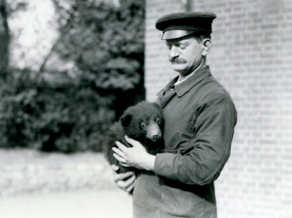 A Keeper Holds a Sloth Bear Cub at London Zoo, August 1921