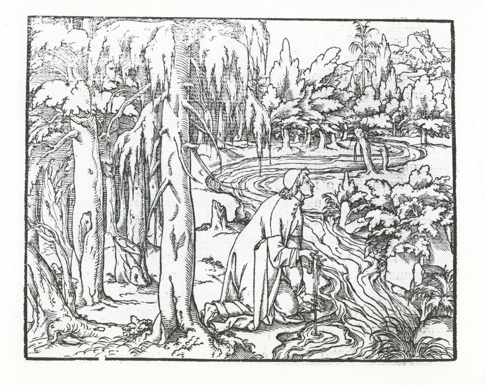 Page from Discours du Songe de Poliphile, by Francesco Colonna, 1546 by French School